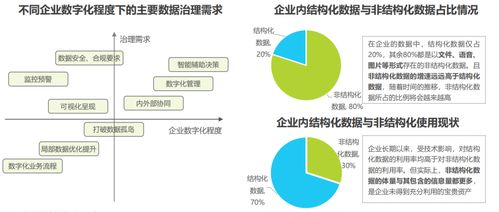 2022中國(guó)人工智能的數(shù)據(jù)治理行業(yè)研究報(bào)告 數(shù)據(jù)管理與處理服務(wù)探析